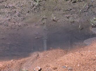 Mais um caso sem solução da Caer: moradores do Silvio Botelho convivem com água contaminada há semanas