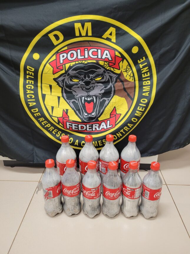 Polícia Federal prende homem com mais de 100kg de mercúrio em Bonfim, interior de RR