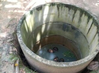 Sem reforma há anos: Escola Estadual Profª Antônia Coelho de Lucena funciona sem estrutura para os alunos