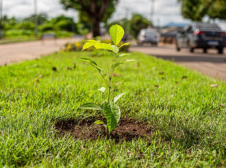 Conferência Municipal do Meio Ambiente: regulamento está disponível para consulta pública