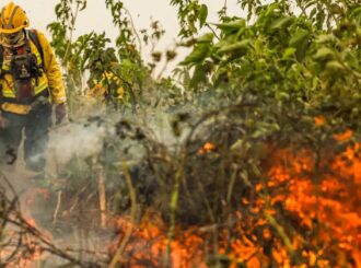 Brasil já registrou mais de 154 mil focos de calor este ano