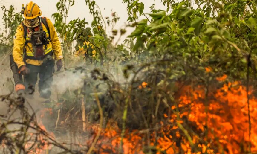 Brasil já registrou mais de 154 mil focos de calor este ano