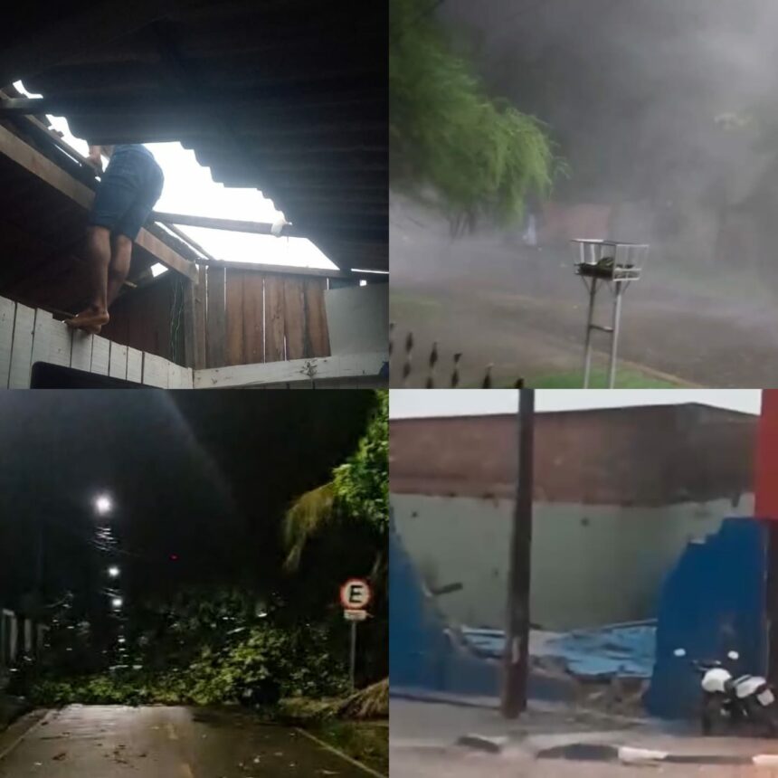 Forte chuva e ventania destelha casas, derruba árvores e interrompe fornecimento de água e luz em Rorainópolis, Sul de RR