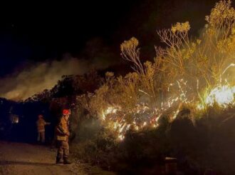 Roraima vai receber R$ 45 milhões do Fundo Amazônia para ações de combate às queimadas