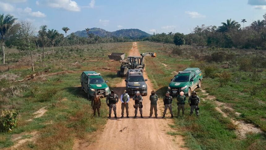 Operação destrói 17 pistas de pouso clandestinas no entorno da Terra Yanomami em menos de 10 dias