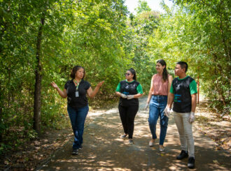 Bosque dos Papagaios é espaço de lazer, estudo e preservação ambiental