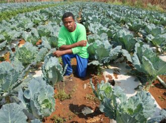 Roraima sedia Seminários de Formação em Crédito Rural para agricultura familiar e povos indígenas