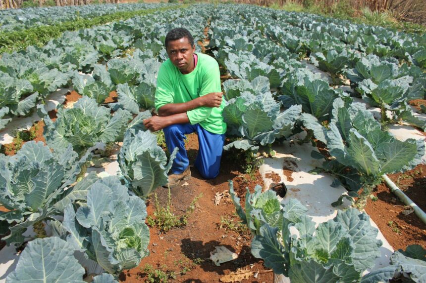 Roraima sedia Seminários de Formação em Crédito Rural para agricultura familiar e povos indígenas