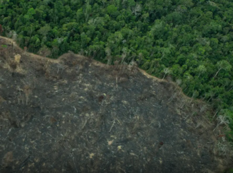 Greenpeace: imagens mostram novas áreas de garimpo em TIs na Amazônia