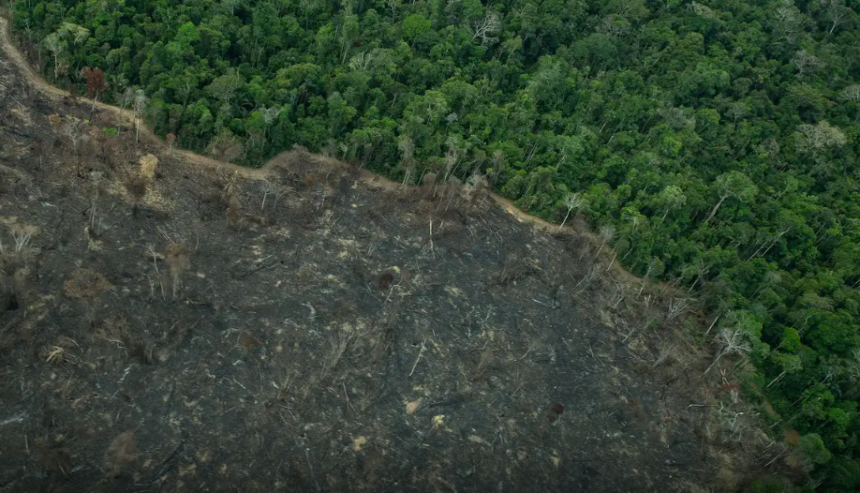 Greenpeace: imagens mostram novas áreas de garimpo em TIs na Amazônia