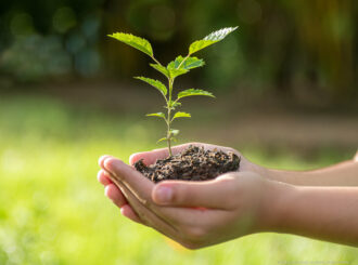 Inscrições para 3ª Conferência Municipal do Meio Ambiente seguem até dia 19