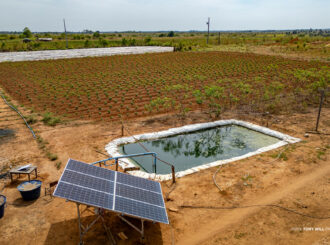 Energia solar: produtores rurais e comunidades indígenas de Boa Vista contam com sistema de irrigação fotovoltaica