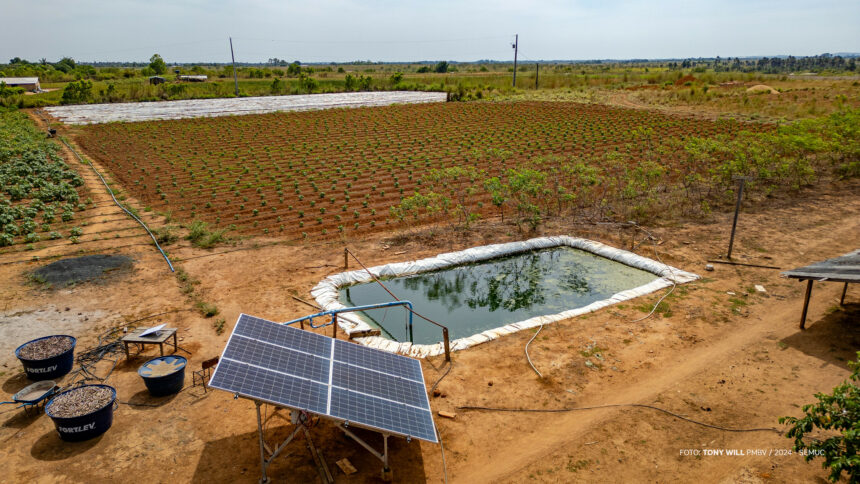 Energia solar: produtores rurais e comunidades indígenas de Boa Vista contam com sistema de irrigação fotovoltaica