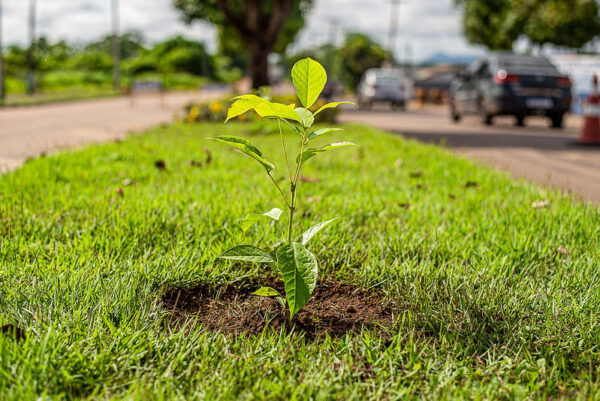 Inscrições para 3ª Conferência Municipal do Meio Ambiente seguem até dia 19 em Boa Vista