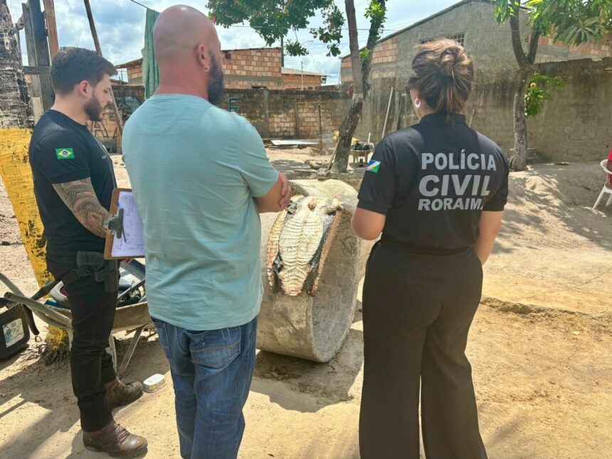 Pedreiro é preso por abate ilegal de jacaré na zona Oeste de Boa Vista