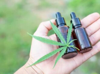 STJ autoriza cultivo de cannabis para fins medicinais