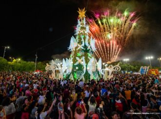 Árvores de Natal gigantes são acesas em bairros de Boa Vista 