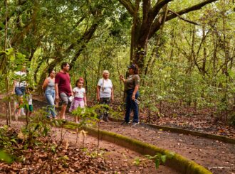 Bosque dos Papagaios realizou programação especial no dia Dia Mundial da Educação Ambiental