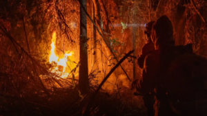 queimadas incêndio florestal