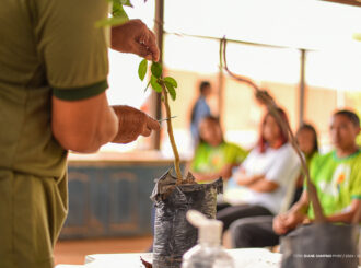 Integrantes do projeto Dedo Verde em Boa Vista aprendem práticas ambientais durante visita a Embrapa
