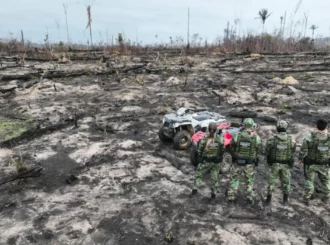 AGU cobra R$ 76 milhões de desmatadores em cinco biomas