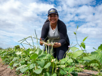 Mulheres ampliam protagonismo na agricultura familiar de Boa Vista