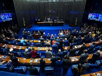 Senado: uso da linguagem simples em documentos oficiais será votado nesta semana