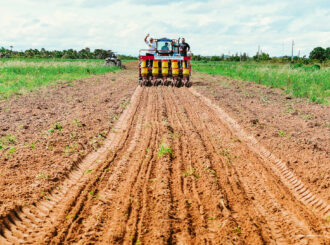 Primeiro trimestre: Prefeitura de Boa Vista atingiu marca de 1,2 mil hectares de grãos plantados