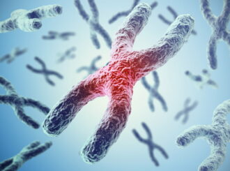 Oficina sobre biologia molecular é ofertada para estudantes do ensino fundamental e do médio em RR