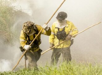 Câmara dos Deputados aprova aumento de punição para quem provocar incêndios florestais