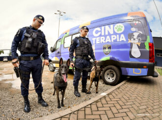 Prefeitura vai implantar projeto que utiliza cães em processo terapêutico com crianças autistas em Boa Vista