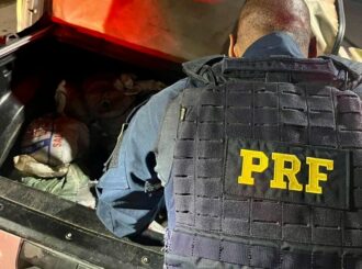 PRF apreende quase 800 kg de cassiterita em picape em Roraima