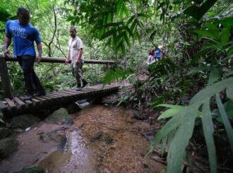 Trilhas com segurança: veja os principais cuidados antes de encarar aventuras