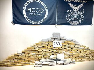 Ficco-RR apreende 230 quilos de skunk escondidos em compartimento secreto de casa em Boa Vista
