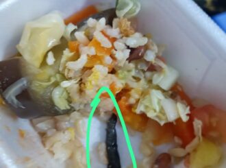 Ovos de mosca, tapuru e lagarta: quem fiscaliza a comida servida nos hospitais de Roraima?