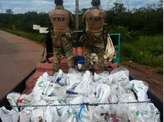 PRF apreende mais de duas toneladas de Cassiterita em Roraima