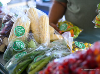 Agricultura familiar movimenta economia e fortalece conexão entre campo e cidade em Boa Vista