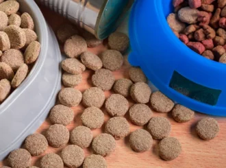 Licitação do Governo prevê mais de R$ 14 milhões para comprar ração