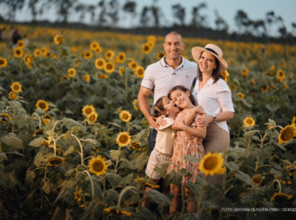 AgroBV: beleza do campo de girassóis encanta e vira cenário perfeito para registros em família