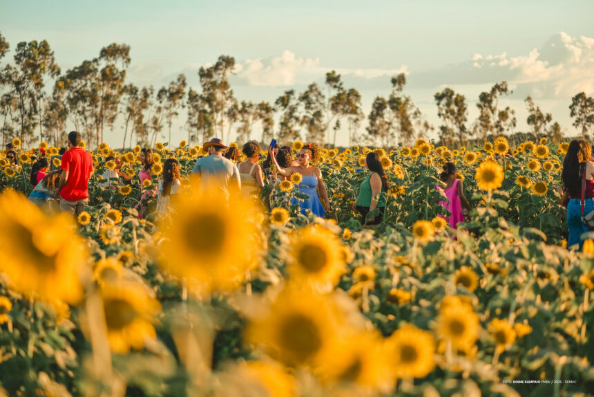 AgroBV 2025 deixa legado em negócios, inovação e parcerias