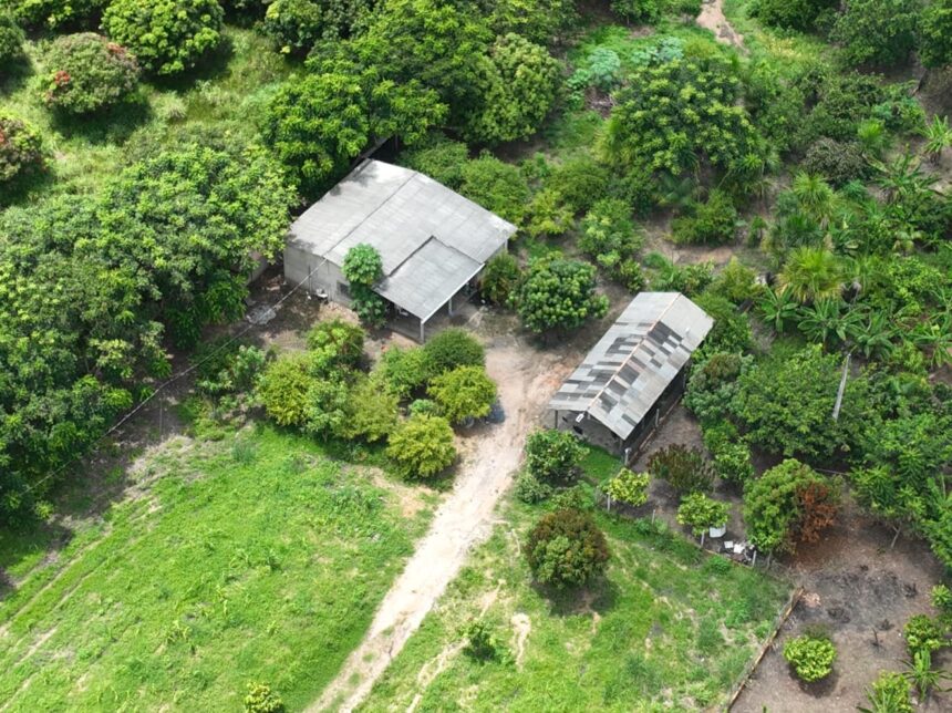 Tenente da PM de RR volta a ser preso por maus-tratos após 60 animais serem encontrados abandonados em chácara