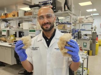 Pasta de dente feita de cabelo e pele pode restaurar esmalte dos dentes e evitar cáries, diz estudo