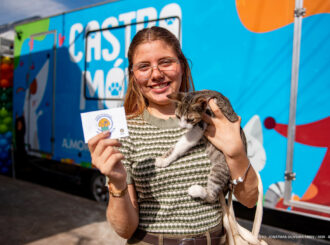 Campanha antirrábica: mais de 20 mil animais são vacinados contra raiva em Boa Vista