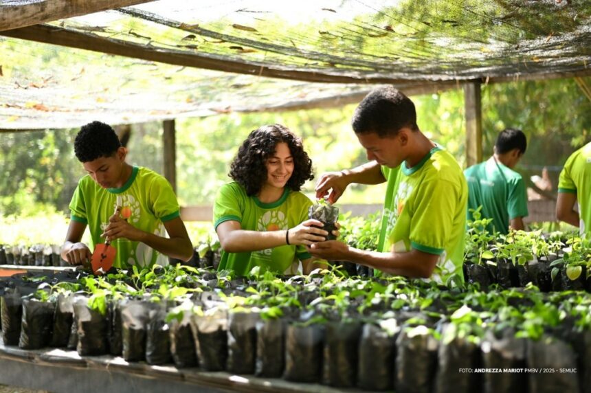 Programa Dedo Verde transforma jovens com ações de sustentabilidade em Boa Vista