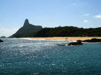 Ilhas brasileiras: estudo revela presença de espécies exclusivas