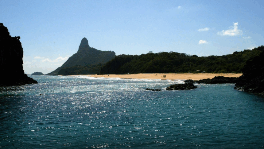 Ilhas brasileiras: estudo revela presença de espécies exclusivas