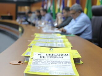 Glebas Ereu e Cauamé: CPI pede indiciamento de 16 pessoas por esquema de grilagem em Roraima