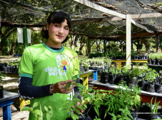 Projetos sociais da Prefeitura de Boa Vista promovem acolhimento e saúde mental no Setembro Amarelo
