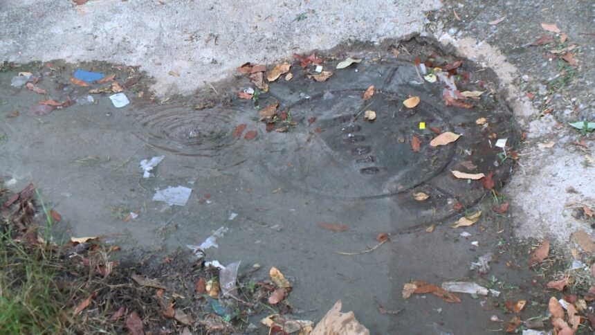 Sem solução da Caer, moradores convivem com esgoto estourado há dois meses no bairro São Vicente