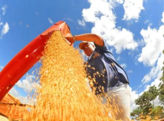 Brasil deve ter nova safra recorde de grãos em 2025/26, diz Conab